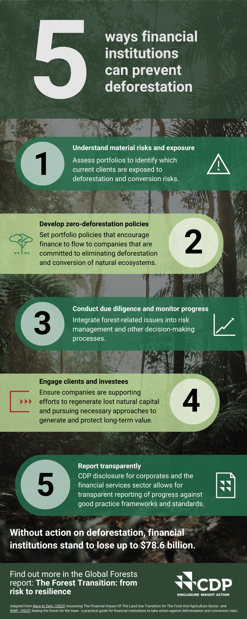 Five takeaways for financial institutions - Global Forests Report 2023